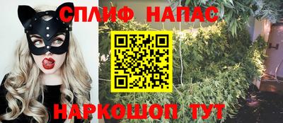 гашик Будённовск