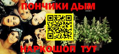 гашик Будённовск