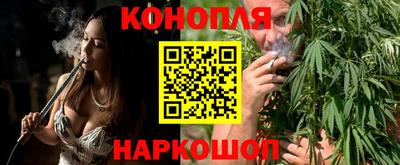 гашик Будённовск
