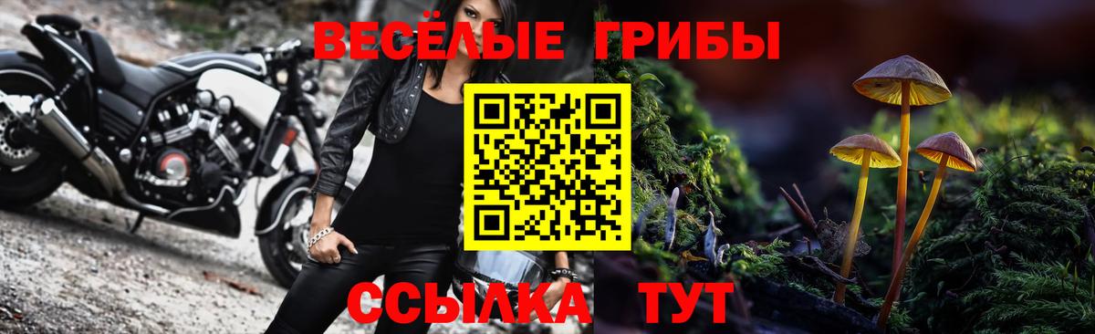 Псилоцибиновые грибы Magic Shrooms  Вход с VPN  дарнет шоп  Михайловка 